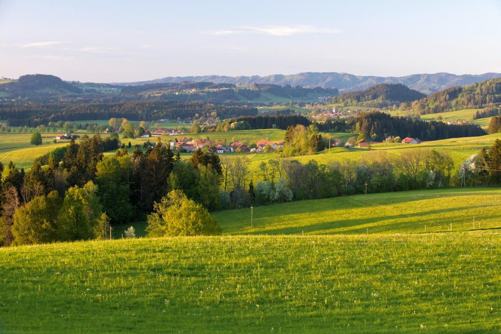 Allgaeu-glueck Gruenenbach Grunenbach